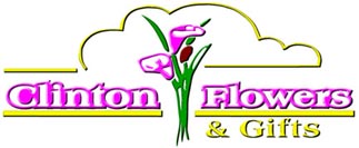 CLINTON FLOWERS & GIFTS - BEANIE BABIES TY BEANIE BABIES